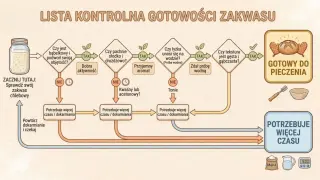 Schemat jak dokarmiać zakwas na chleb. Sprawdź, czy jest bąbelkowy, pachnie drożdżowo i unosi się na wodzie. Jeśli nie, potrzebuje więcej czasu lub dokarmiania.