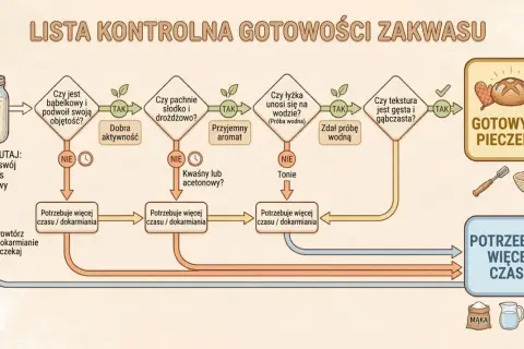 Schemat jak dokarmiać zakwas na chleb. Sprawdź, czy jest bąbelkowy, pachnie drożdżowo i unosi się na wodzie. Jeśli nie, potrzebuje więcej czasu lub dokarmiania.